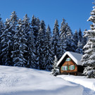 DSC_1371-1.jpg