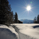 DSC_1373-1.jpg