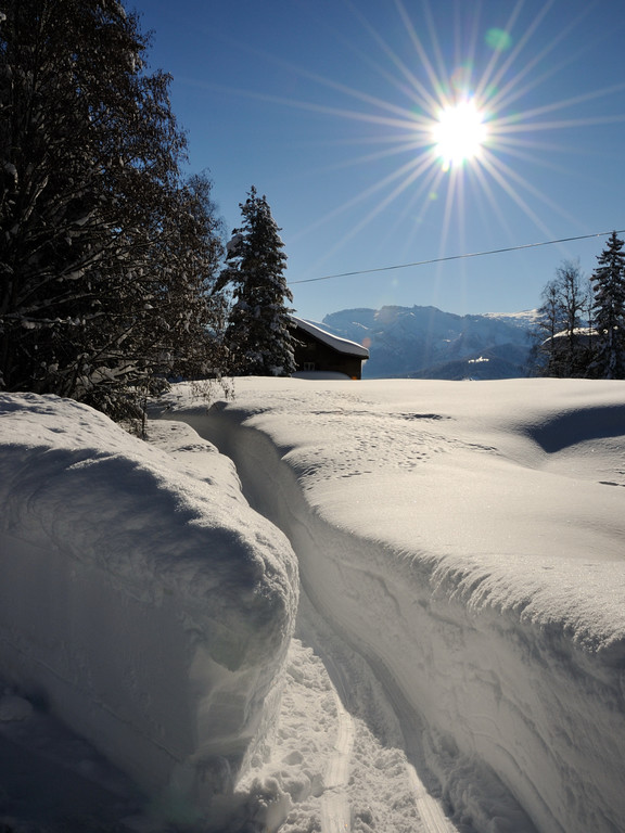 DSC_1373-1.jpg