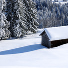 DSC_1391-1.jpg