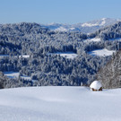 DSC_1443-1.jpg