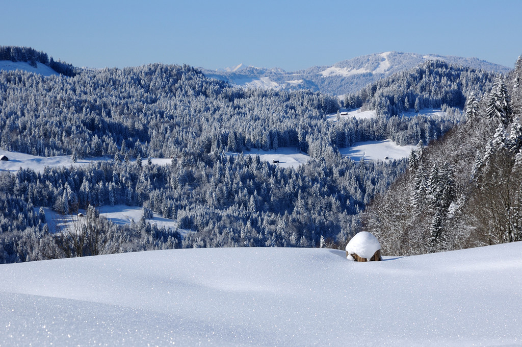 DSC_1443-1.jpg