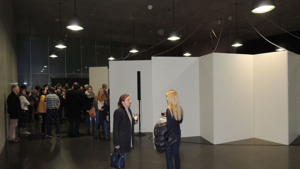 DSCN6740_JPG-1360884072