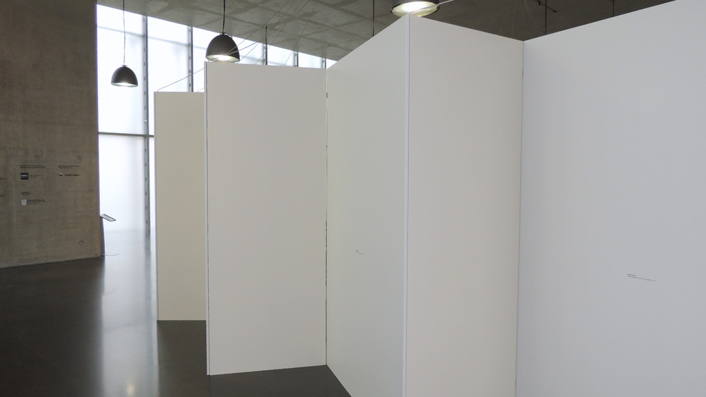 DSCN7291_JPG-1360884082