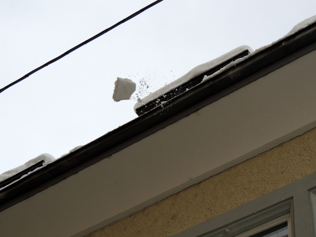 DSCN8619_JPG-1360884356