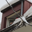 DSCN8647_JPG-1360884384