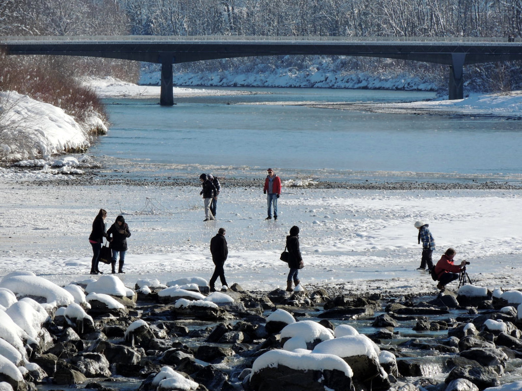 DSCN9994_JPG-1360884673