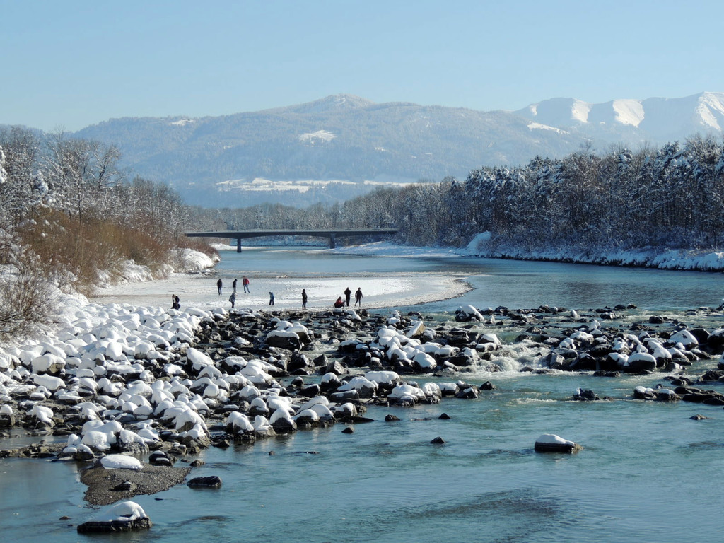 DSCN0005_JPG-1360884632