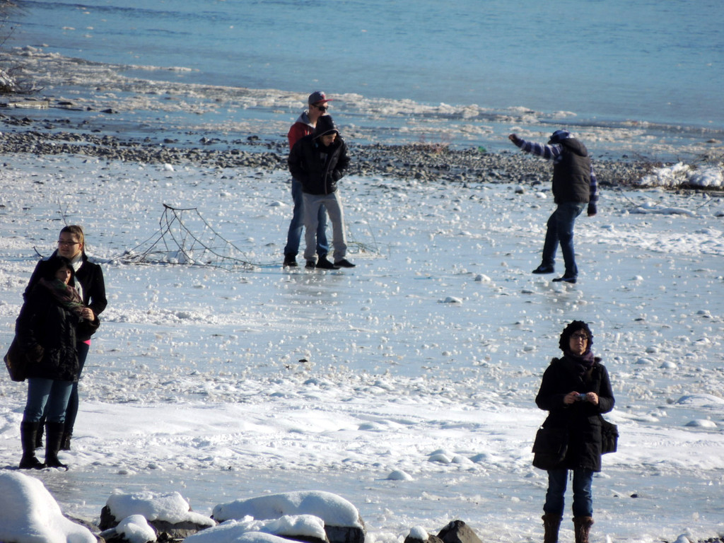 DSCN9990_JPG-1360884666