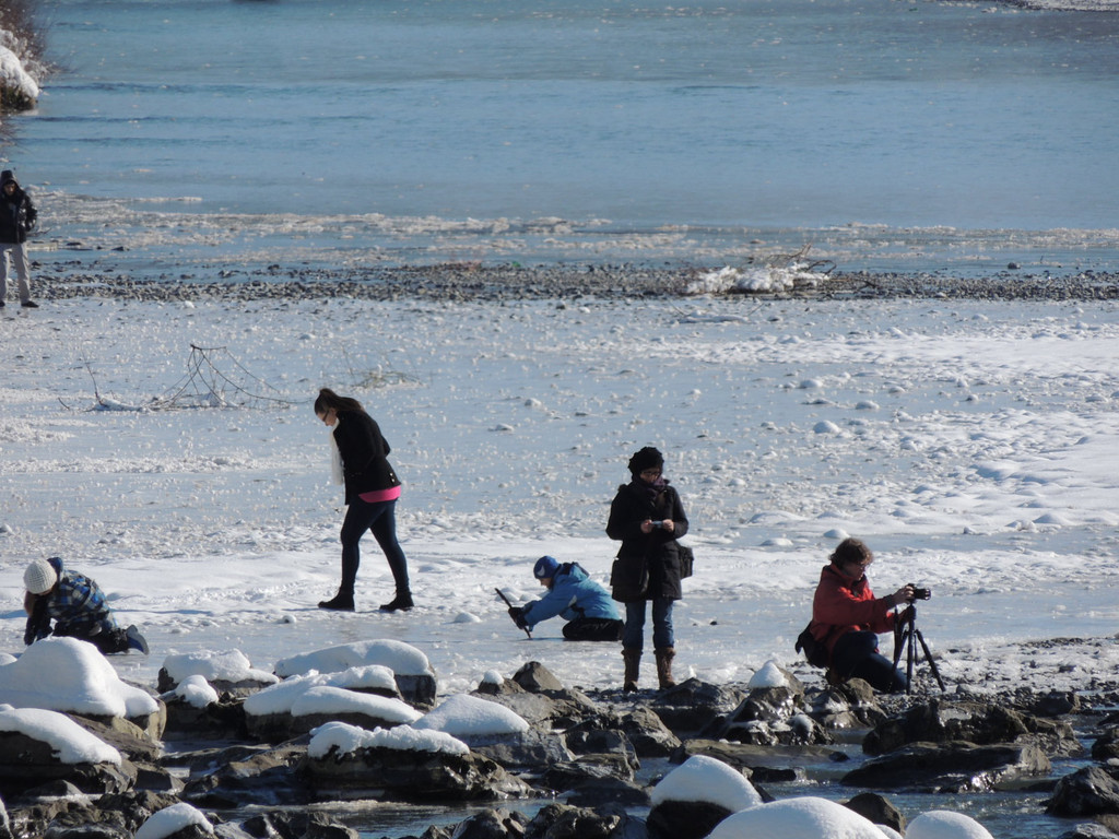 DSCN9969_JPG-1360884637