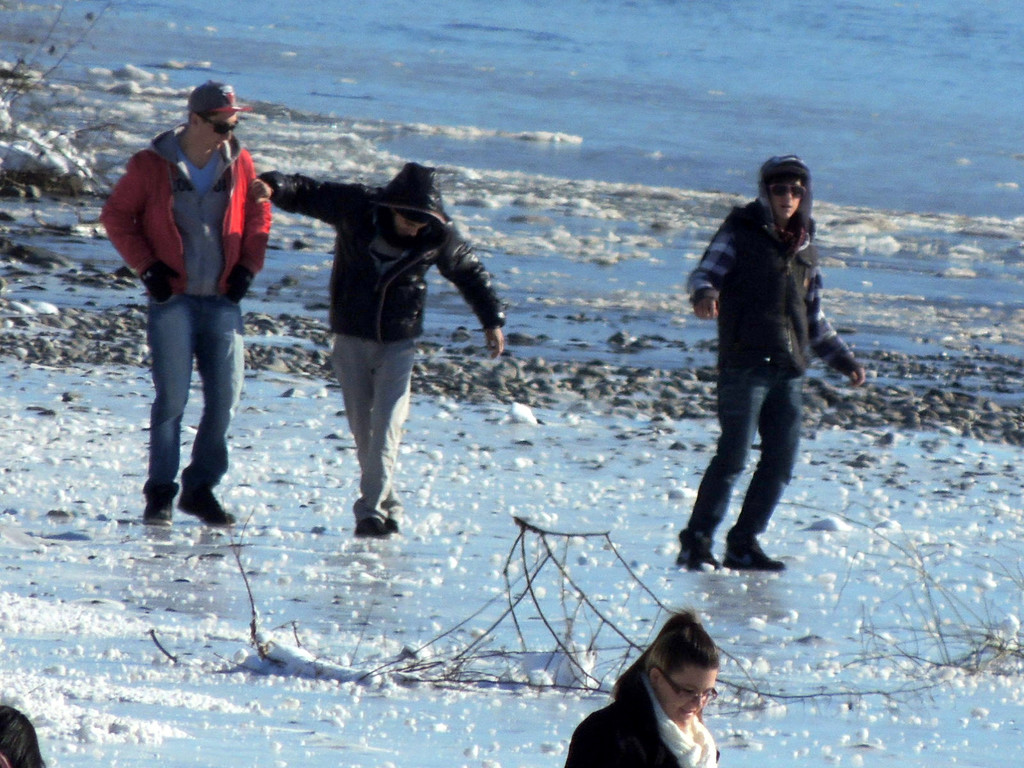 DSCN9979_JPG-1360884645