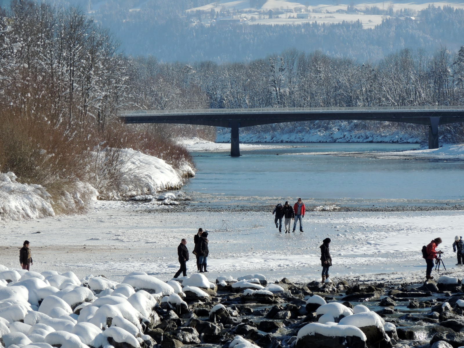 DSCN9993_JPG-1360884670