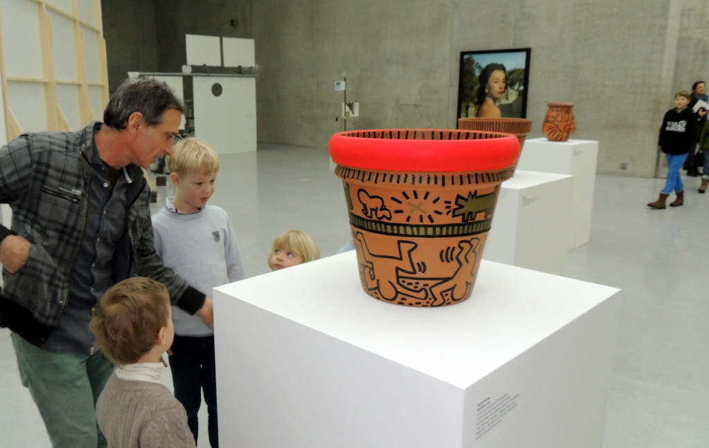 DSCN6993_JPG-1360885350