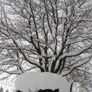 DSCN9496_JPG-1360885612