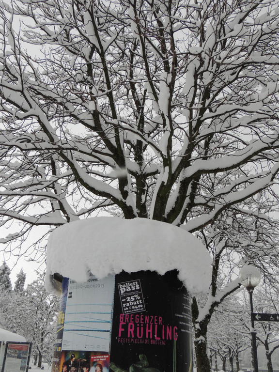 DSCN9496_JPG-1360885612