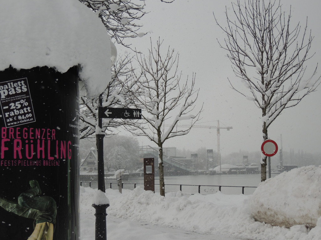 DSCN9495_JPG-1360885609