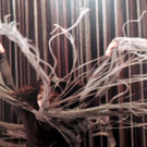 DSCN1030_JPG-1360885705