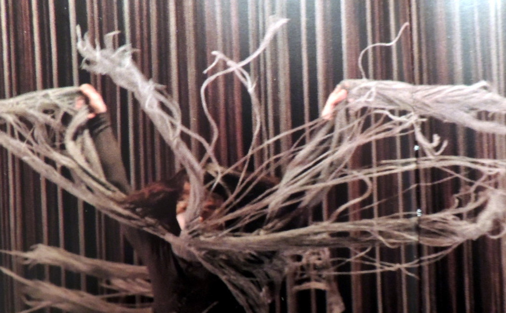 DSCN1030_JPG-1360885705