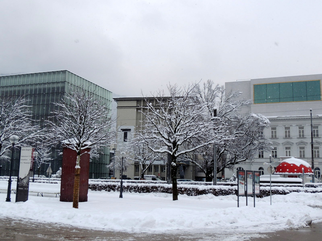 DSCN7739_JPG-1360886301