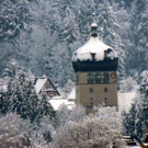 DSCN7791_JPG-1360886338