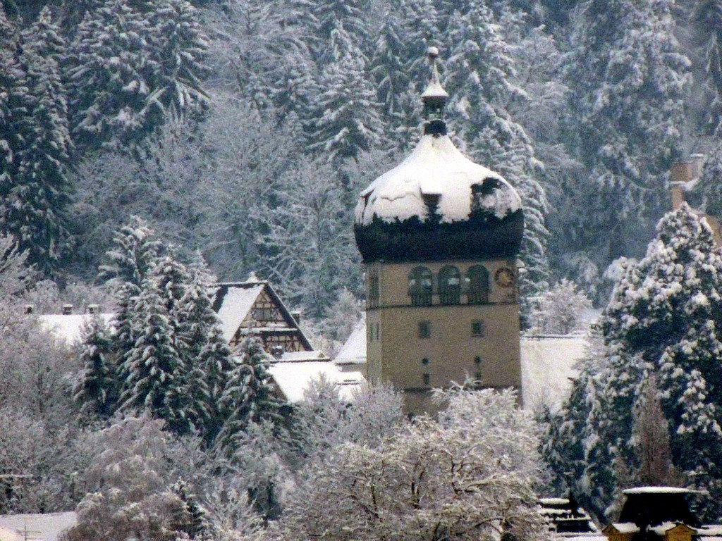 DSCN7791_JPG-1360886338