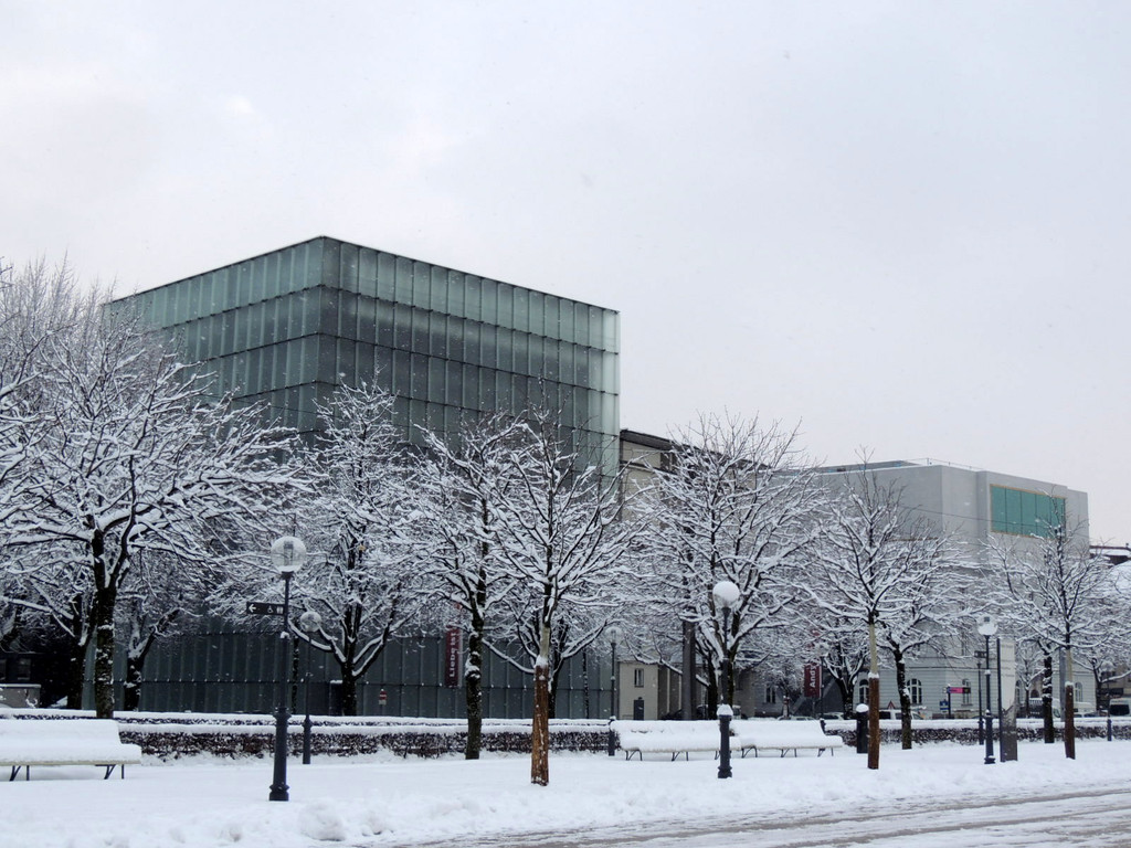 DSCN7752_JPG-1360886309