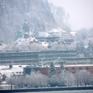 DSCN7793_JPG-1360886343