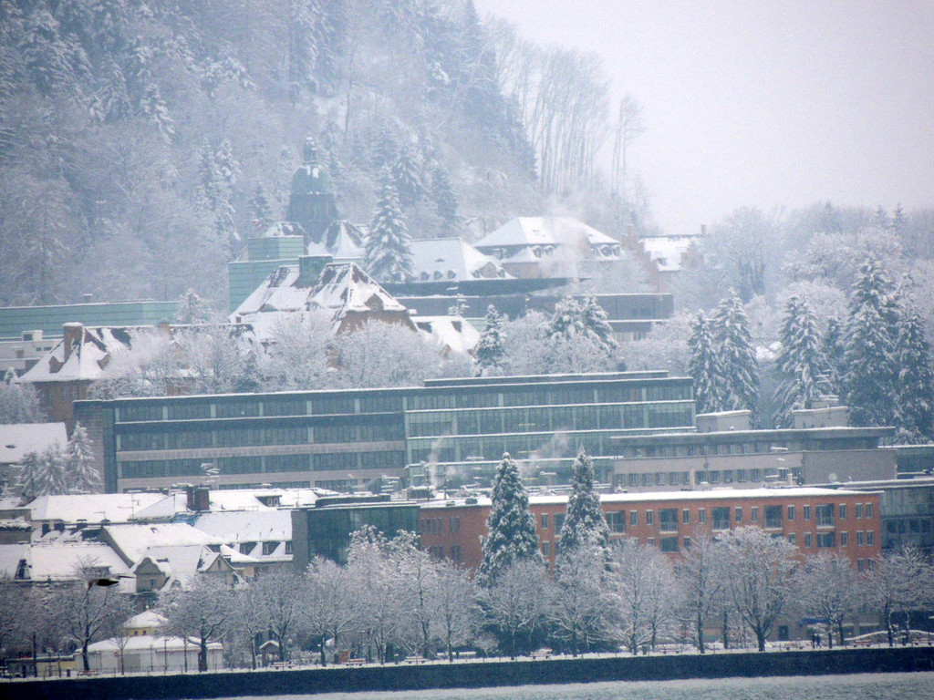 DSCN7793_JPG-1360886343