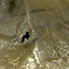 DSCN1024_JPG-1360886744