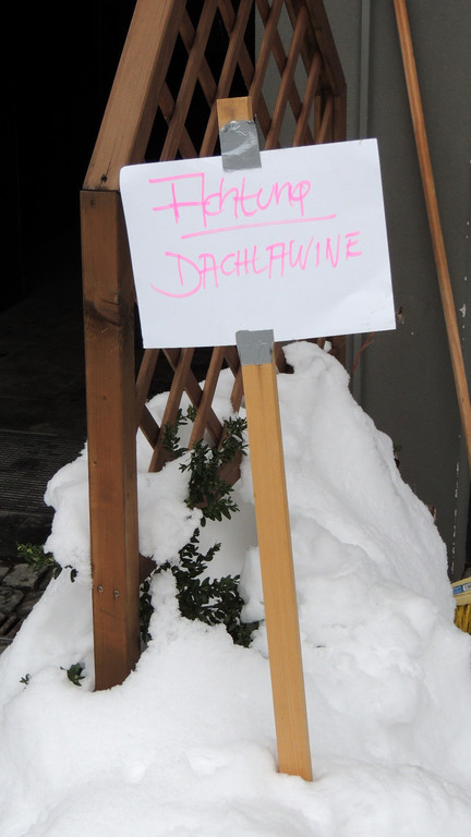 DSCN5481_JPG-1360887661