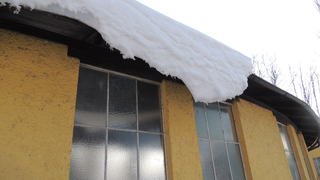 DSCN6153_JPG-1360887674