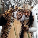 20130209_150222_jpg-1360885128.jpg