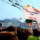 d14bXIII107.jpg