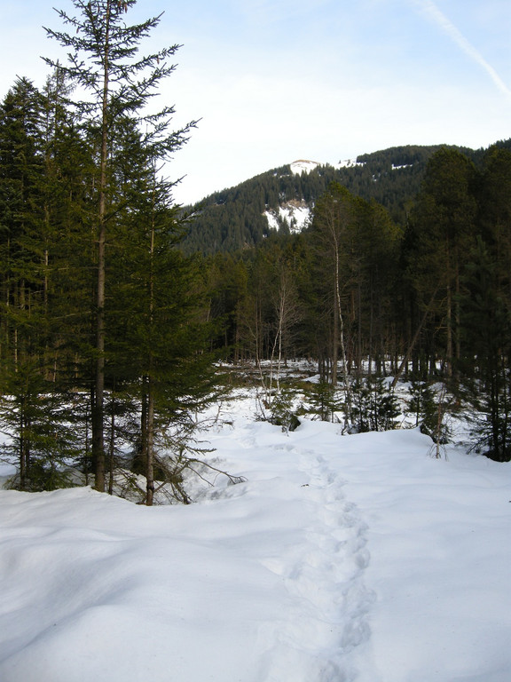 Orsankamoos 2013-01-31 - Blick Feuerstelle Richtung Kugel_Georg_Amann_jpg-1360917806