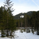 Naturjuwel Götzner Moos