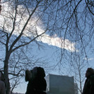 IBD0405-20130215.jpg