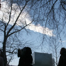 IBD0358-20130215.jpg