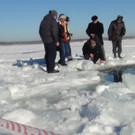 IBD0902-20130215.jpg
