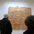 11 Installation Feld von Albrecht Zauner.JPG