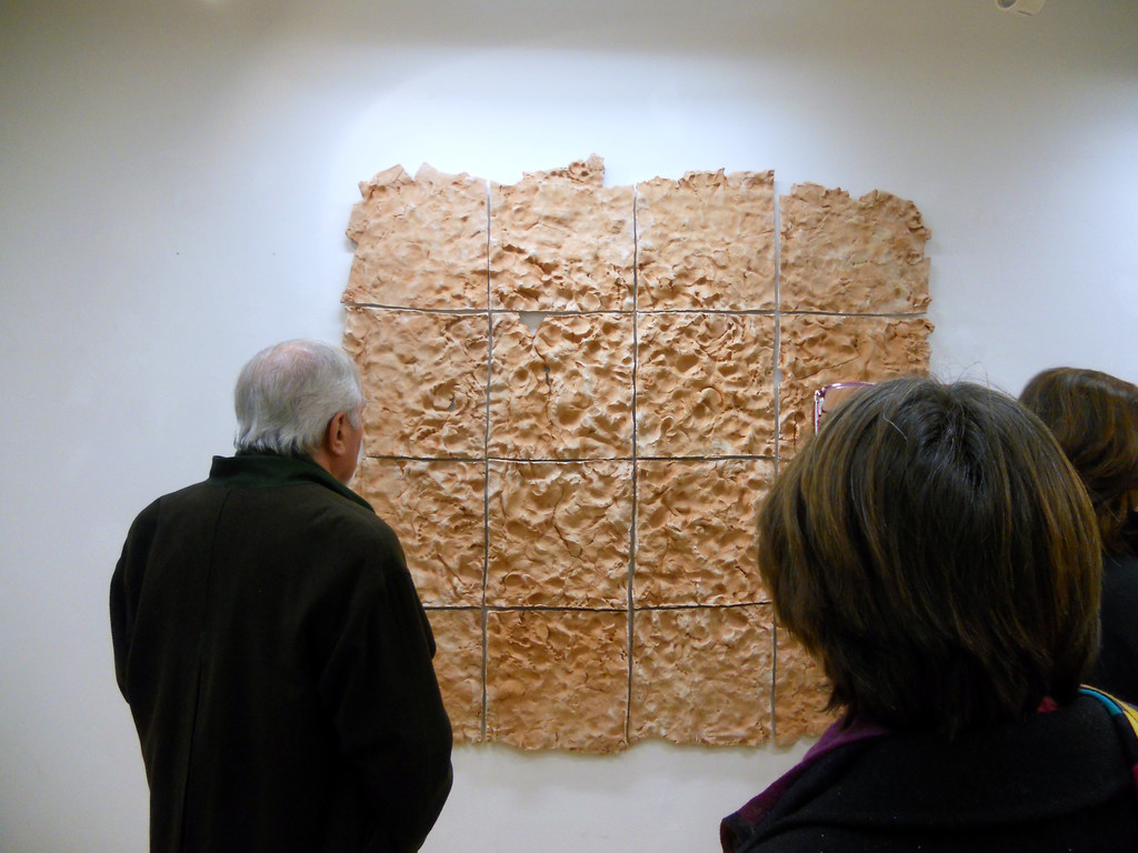 11 Installation Feld von Albrecht Zauner.JPG