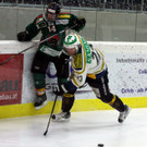 IMG_8542_jpg-1361004260