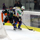 IMG_8636_jpg-1361004351