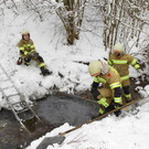 normal_16022013fmt_lkwvu_eugendorf_mw-5.jpg