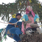 DSC_9672.jpg