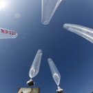IBD0105-20130216.jpg