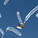 IBD0104-20130216.jpg