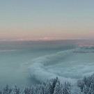 bodensee1.jpg