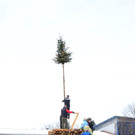 FunkenaufbauAltach015.JPG