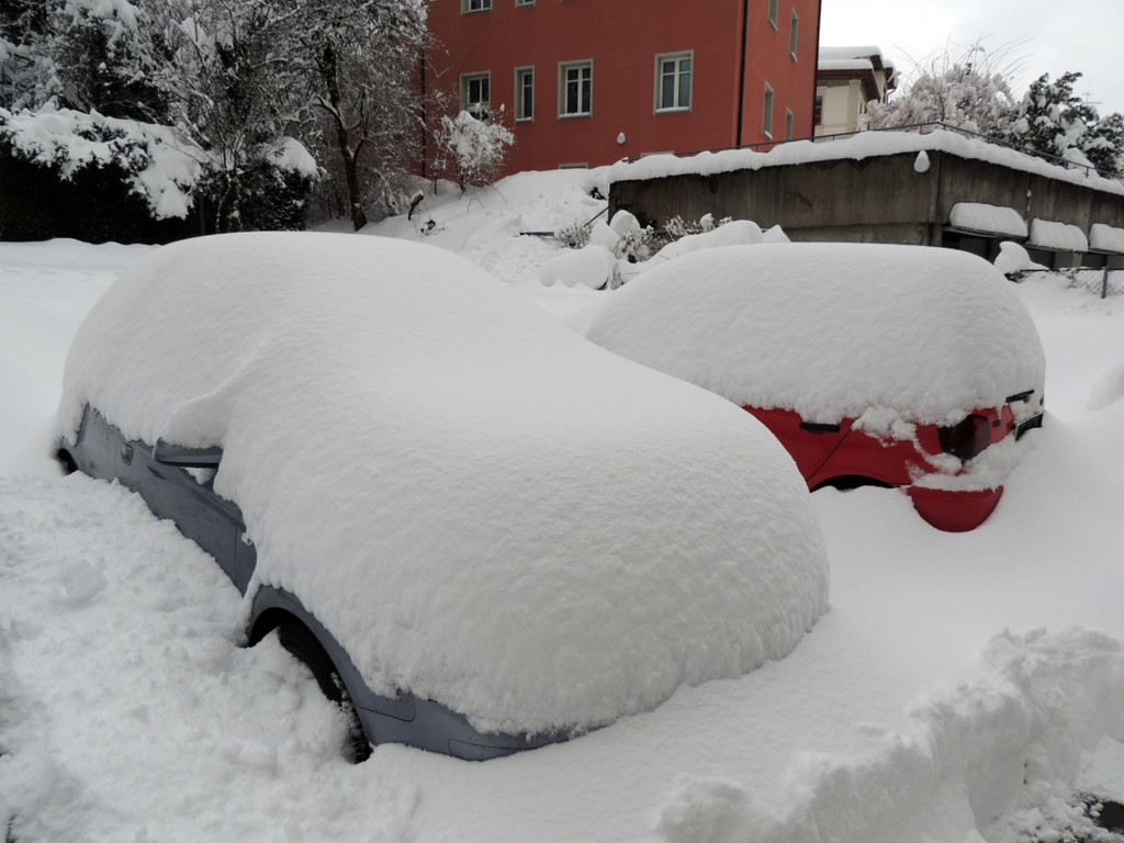 DSCN8546_JPG-1361026914