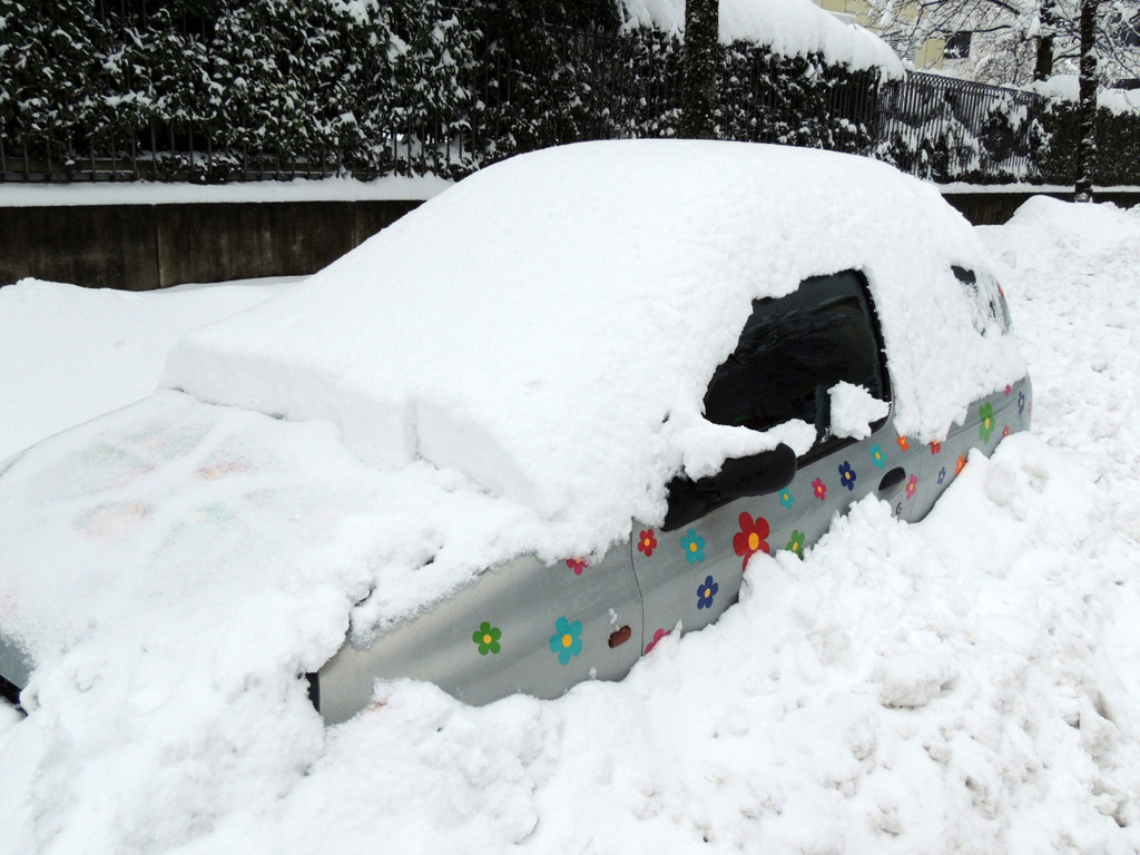 DSCN8488_JPG-1361026897